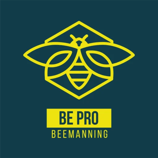 Be Pro Beemanning